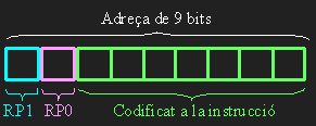 Adreçament directe